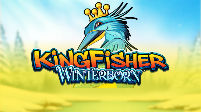 Kingfisher Winterborn