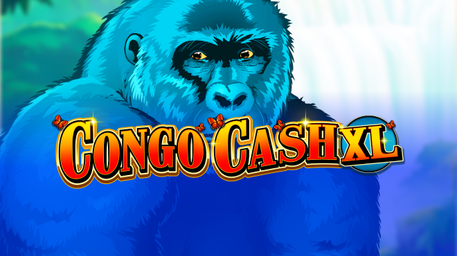 Congo Cash XL