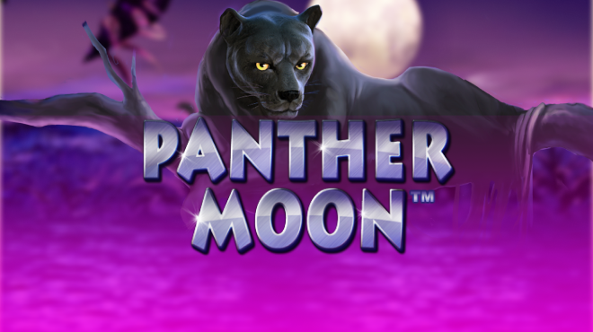 Panther Moon